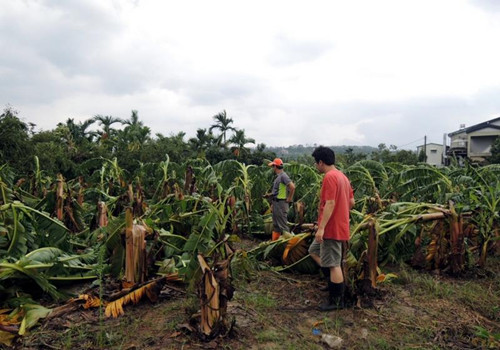 �����L�q�}�`���h�f�h�����l���}6�f���ߵ{�G��