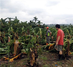 �����L�q�}�`���h�f�h�� ���l���}6�f���ߵ{�G��