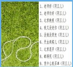 ��Ƴ��N120���I�������ѓ�͡L�����Ρ�