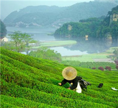 ���o�s�O��L�p���K�� �L����+�����y����J���y