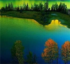 ��ä�V�R�H��񭷒��{�� �V���`�v���ܓt�E