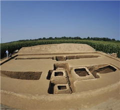 �e���W�ά��}�F�c�o�� �ݹK���\����