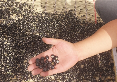 �y���v�Ͱ��}���������` 1�����B�t������