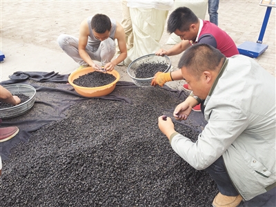 �y���v�Ͱ��}���������` 1�����B�t������