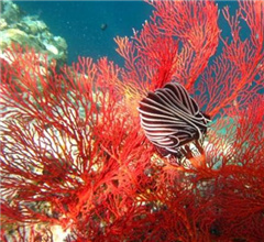 ��b�è��x�r3�ݒ��H�t�s�����~�� ���G�_����