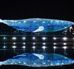 2015��ä�ɭ�L�Ӳ��~�|���I���h�}�@