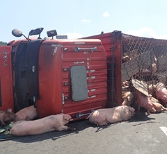 �ڷ��o�W�� �e���L�ʮv�w�����xħֵ