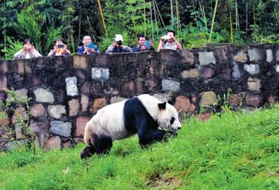 �����K�n�L���|��������