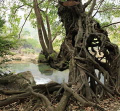 �H���L�N�j�����̣K��Ͳ��������50�g�q19�[����4�[