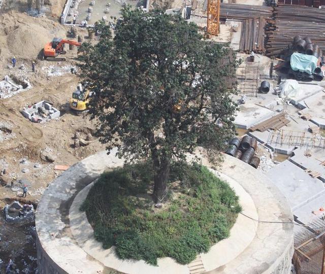 ����³���Q�ϧ�y ��400�����@323�Г���(��)