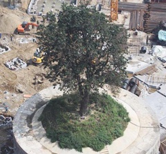 ����³���Q�ϧ�y ��400�����@323�Г���(��)