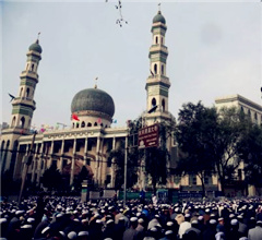 �y���w�c��15���_�jҧ����|�O �������k�u��