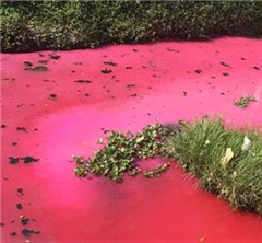 ���F�Ȕb�}�L�t�e�� �I�͹��O�秽�������d