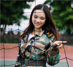 95�A���I�Cè�� �M�`���{