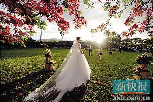 �J���ز��R��Lè�p�ؐ�����ּ�թ���ʐ�