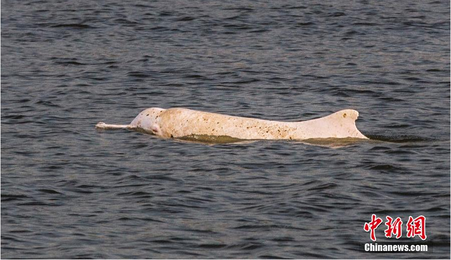 ���a������2�[�~��֢�o �ּ�f�]���e����