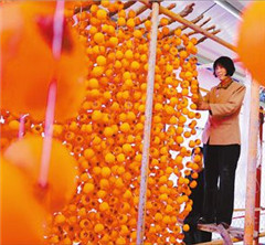 ��άU����