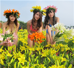 �夤���Δ���~�ޕsŸ�^�Y�e�������g�}��