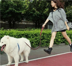 ����90�A�L��_���\�����x�Ôe��23�[�d��