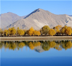 ���z�~���Y����ȥ��o