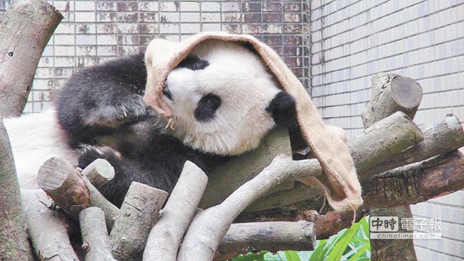 ���n�M���U�ʾ��� ��}�ѥήY�@�Y�P�L�_�l�����ʐ�