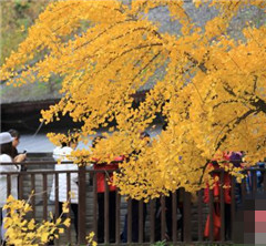 �w�^���m��e�������e�����W