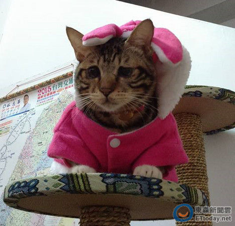 ���m�y�I���L�r�����ʕ[��������WETtoday�F���s����I�V��