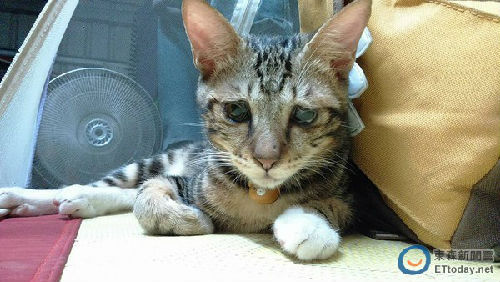 ���m�����w�ѓh�����A�����ʕ[��������WETtoday�F���s����I�V��