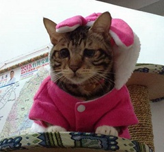 ���W�}�L���y�]��:�y�a���� �y�I��Ф