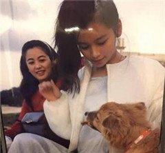 W���U���40�Ю}�Y����19�Х������e�¥���