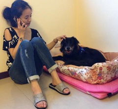 33��ҧ�{�S������N���� �^�|�y�X�e�e��