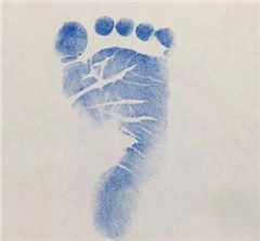 �[�����G�ߒ�}�� ����^����JoJo