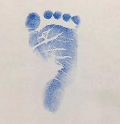 �[�����G�ߒ�}�� ����^����JoJo