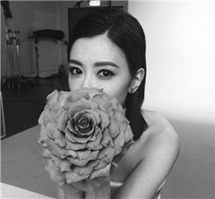 �F���ϩ��{�@��V�A�� ��������̒�