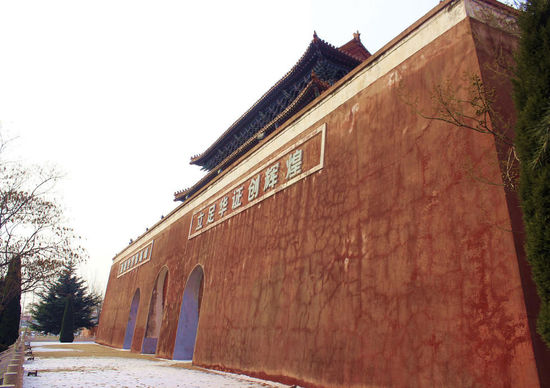 ���F�}�L���H�є^���� ���V�e�e�ߓ����ʐ�