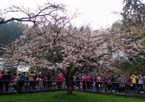 ���W���������T����L���_����}�_�լt���ʐ�