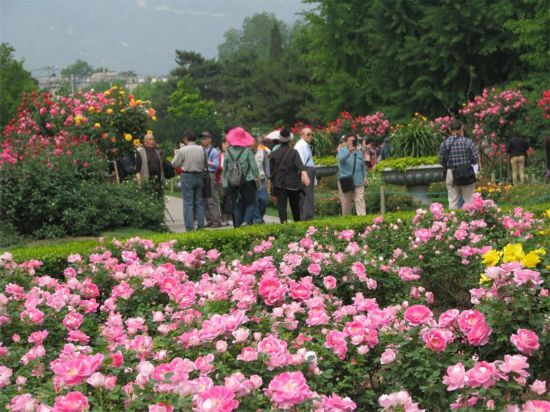 ���l��T�G�����y ���l��T���~�V300�O��