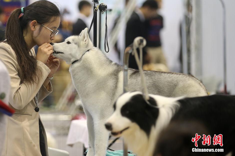 �L���|�ˡ��N���h�y ����~���{