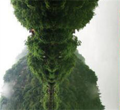 �K�`�Ò��\�ͮo�������y ���