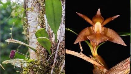 ���Ò��z�I�w�Ȭ��}4�R��ä�s�~���P