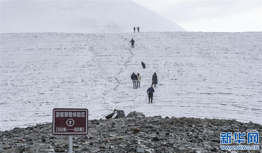 �����{��ä����2�����������������Z