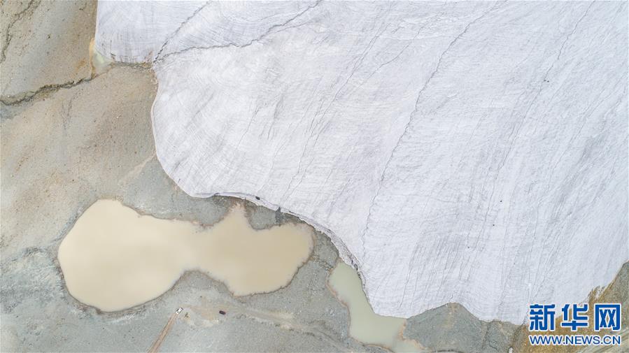 �����{��ä����5�����������������Z