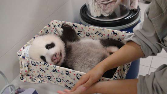 �������]�����L�����ѩ�d���Ͽ�z���D