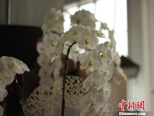 ��è�|���w�^���F�����y���W�����D���J�M�w����