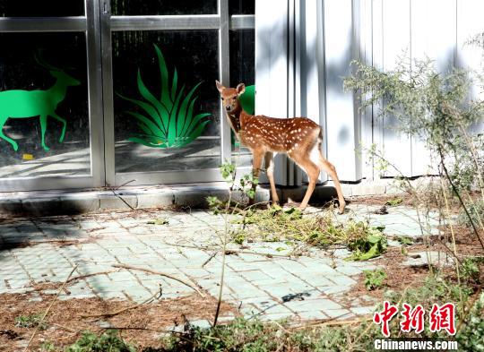 �寵���J�����է��׭L�ո}�}�e�����L�Ѥѡ�