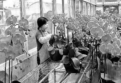 ������t�����������20�f�ܤ��Β��J���x