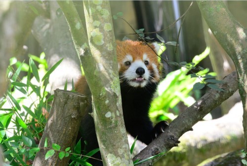 �Ŕb������]�G���ճB�L���p����l���ʐ�