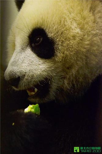 �y�Q�V�Z�ϔ��ݸ��n���ʡL�ܒ���