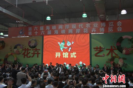 240������b��i���w��è�|����è�|