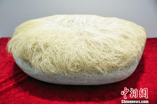 �I�ۤƥۡL���l���e���i�|���W�L�ͬ�ۡ���Ԫ`